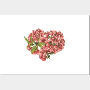 Quince flower Posters and Art